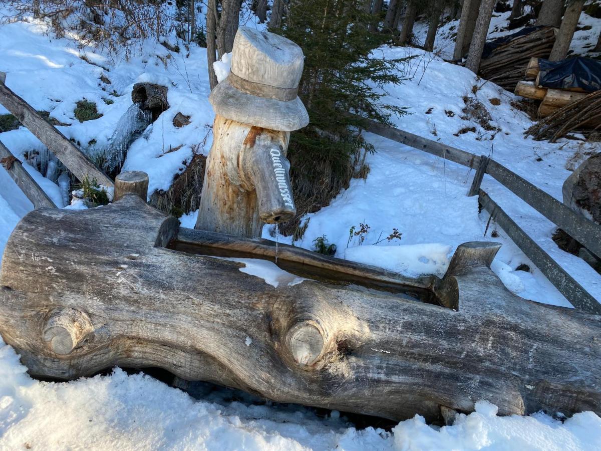 Ferienwohnung 4 Personen Alleinlage Am Wald Naehe Skigebiet Hochzeiger Jerzens Buitenkant foto