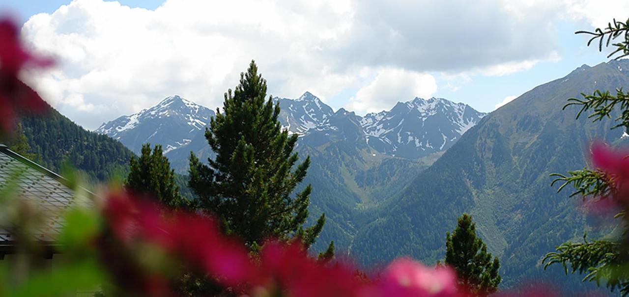Ferienwohnung 4 Personen Alleinlage Am Wald Naehe Skigebiet Hochzeiger Jerzens Buitenkant foto